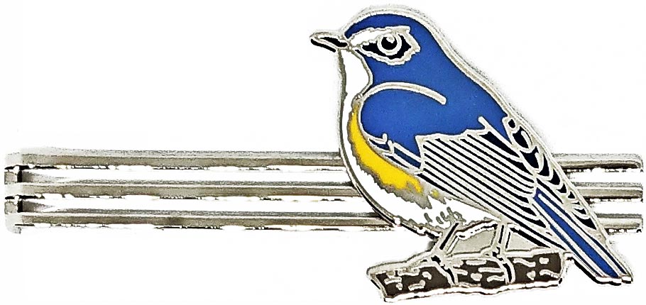 野鳥タイバー-ルリビタキ
